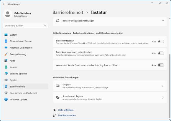 Die Einstellung zum Deaktivieren des Tastendrückers fürs Snipping Tool