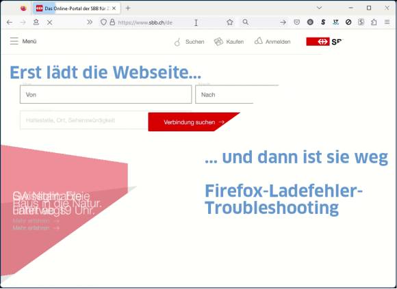 Zweigeteilte Seiten-Ansicht: Erst lädt die Seite, dann ist das Fenster leer 