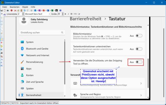 Greenshot-Bedienoberfläche, darin ist der Screenshot der Windows-Einstellungen zu sehen 