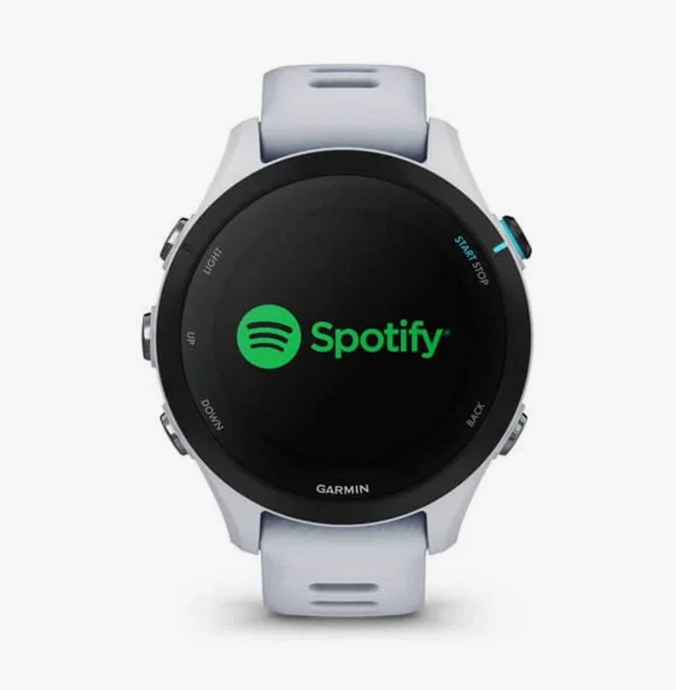 Preisalarm Garmin Forerunner 255S Music Sportuhr pctipp.ch