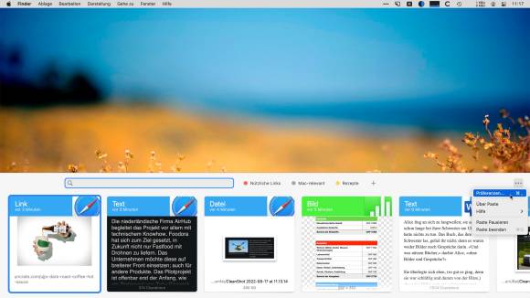 Das untere Drittel des Displays wird von Paste ausgefüllt