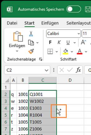 Ausschnitt zeigt markierte Zellen und Mauszeiger mit dem kleinen Pluszeichen