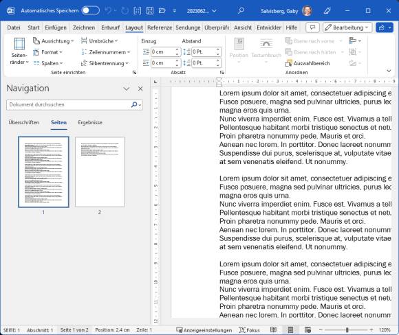 Word-Screenshot mit Navigationsspalte