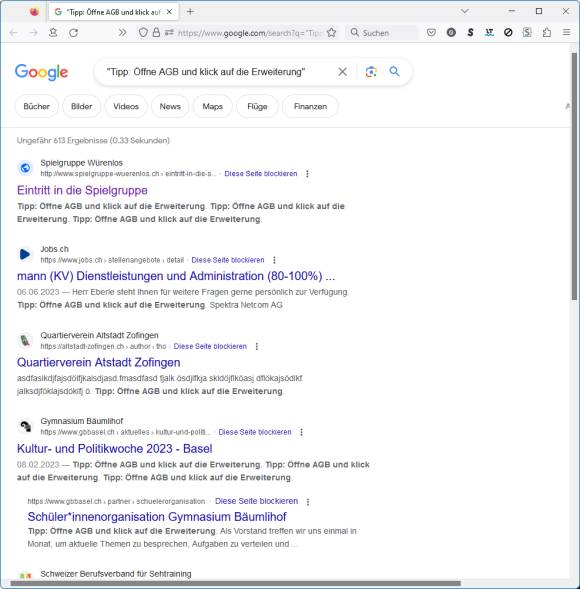 Screenshot Resultat der Google-Suche