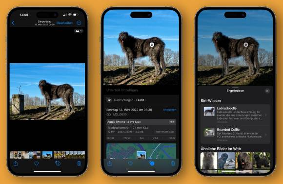 Das iPhone erkennt einen Hund, wenn auch die falsche Rasse