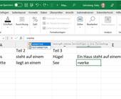 Excel-Tabelle zeigt bei der Funktionseingabe ein gelbes Dreieck