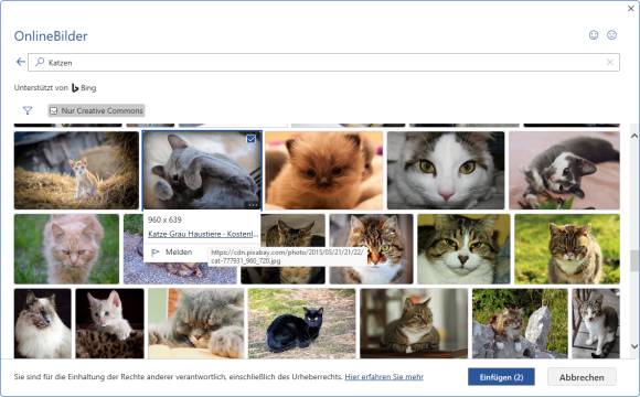 In Word sind Vorschauen von Katzenbildern zu sehen 