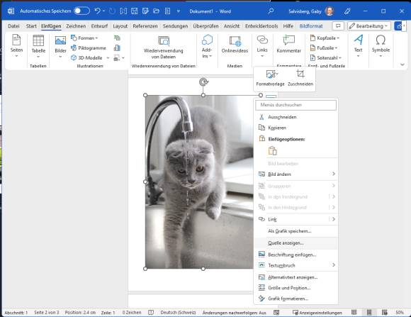 Ein Katzenbild in Word und das Kontextmenü mit dem Befehl "Quelle anzeigen"