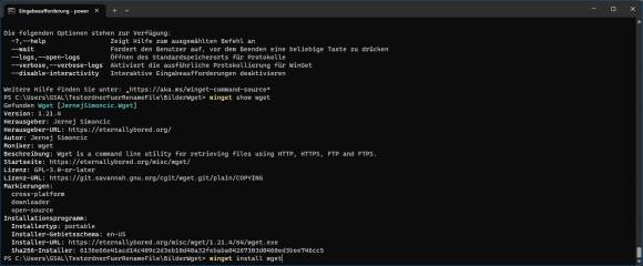 Windows-Konsolenfenster zeigt, wie w-get mittels Win-Get heruntergeladen wird