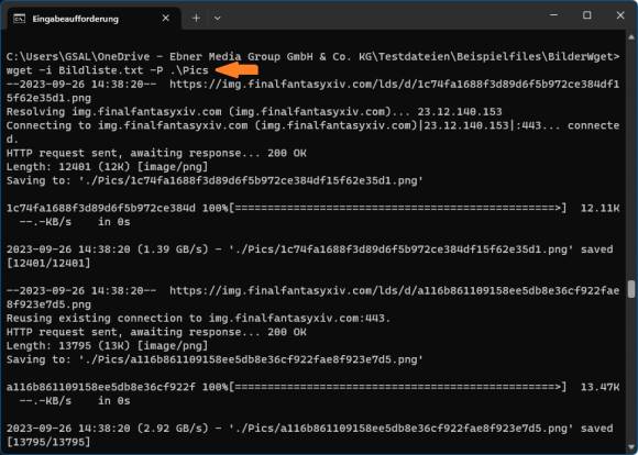 Eingabeaufforderung zeigt, wie W-GET jedes Bild herunterlädt