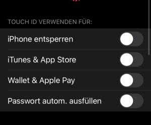 Touch-ID- und Code-Einstellungen