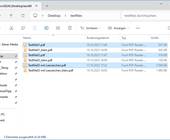 Ein Explorerfenster enthält 6 PDF-Dateien. Drei davon mit dem Namens-Zusatz 