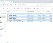 Ein Explorerfenster enthält 6 PDF-Dateien. Drei davon mit dem Namens-Zusatz 