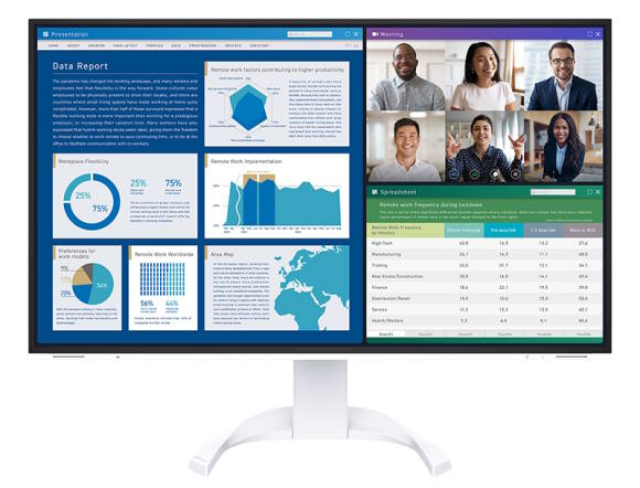 Eizo Flexscan Monitor mit verschiedenen Desktops