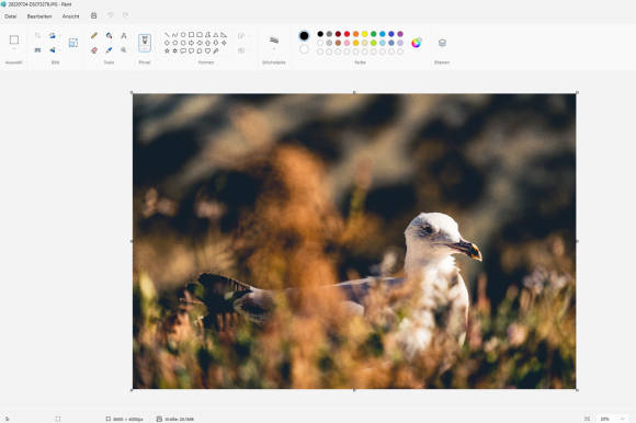 Bild 1: Microsofts Paint erhält einen neuen Anstrich