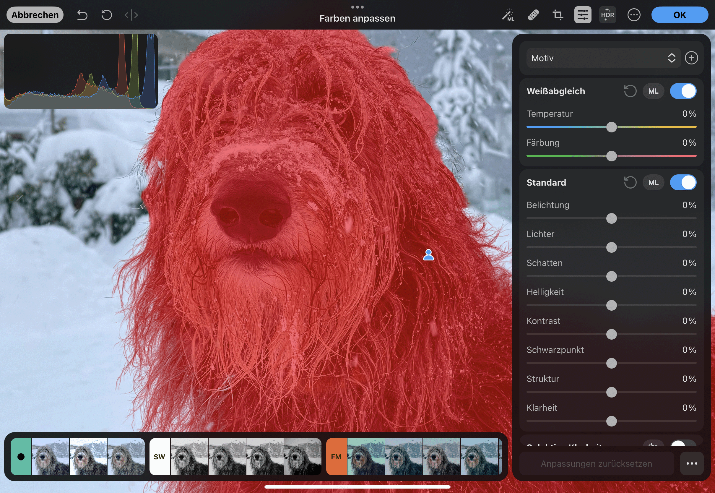 Mithilfe der Neural Engine schüttelt Photomator auch komplexe Masken aus dem Ärmel