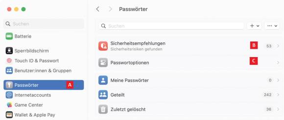 Bild 2: Die Kennwortverwaltung kommt noch nicht als eine eigene Anwendung, sondern als ein Teil der Systemeinstellungen