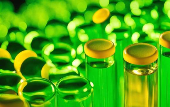 Klimagasnutzung nach Art der Photosynthese 