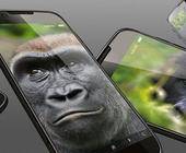 Gorilla Glass
