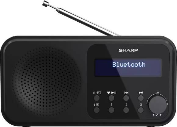 Bild 3: Günstige DAB+-Radios gibt es schon ab 30 Franken