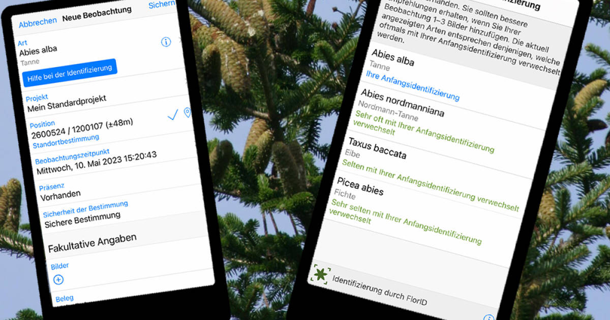 Hosentaschen-Botaniker-f-r-das-iPhone