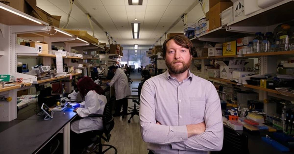 KI-Sensorband-bewahrt-viele-ltere-vor-St-rzen